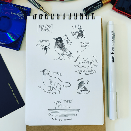 Sketches19-001opt.png