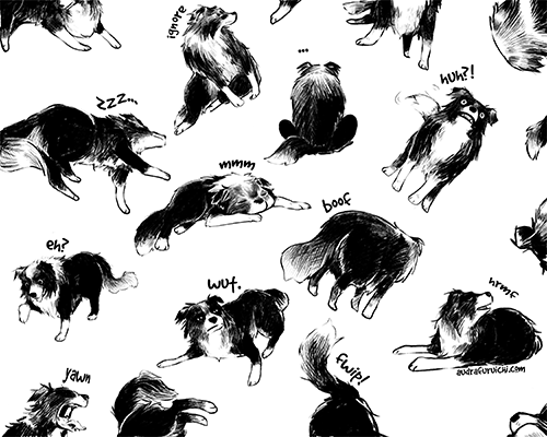 WP18-DoggoDays-500pxb.png